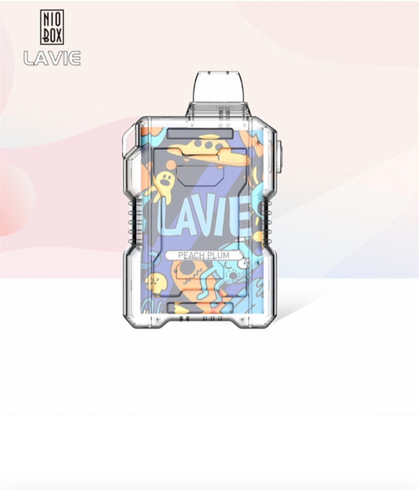 Lavie Nio Box 9000 Puffs | Img 2409 Lavie Nio Box 9000 Puffs - Image 4