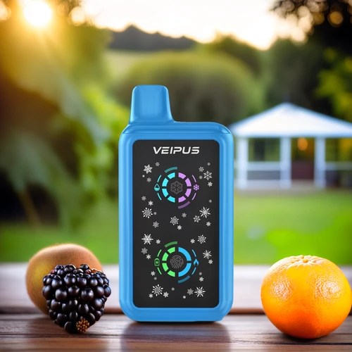 Blackberry Kiwi Orange – Bussin | Blackberry Kiwi Orange Veipus Bussin Product Image Blackberry Kiwi Orange – BUSSIN