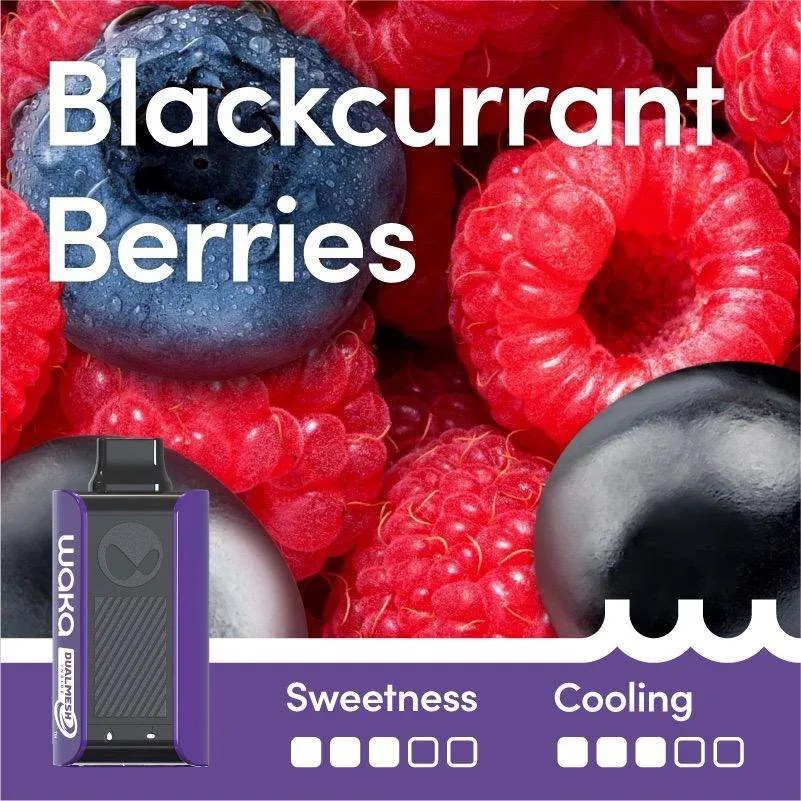 Blackcurrant Berries – Sopro 10,000 | Waka Sopro 10000 Blackcurrant Berries Dual Modes Blackcurrant Berries – SOPRO 10,000