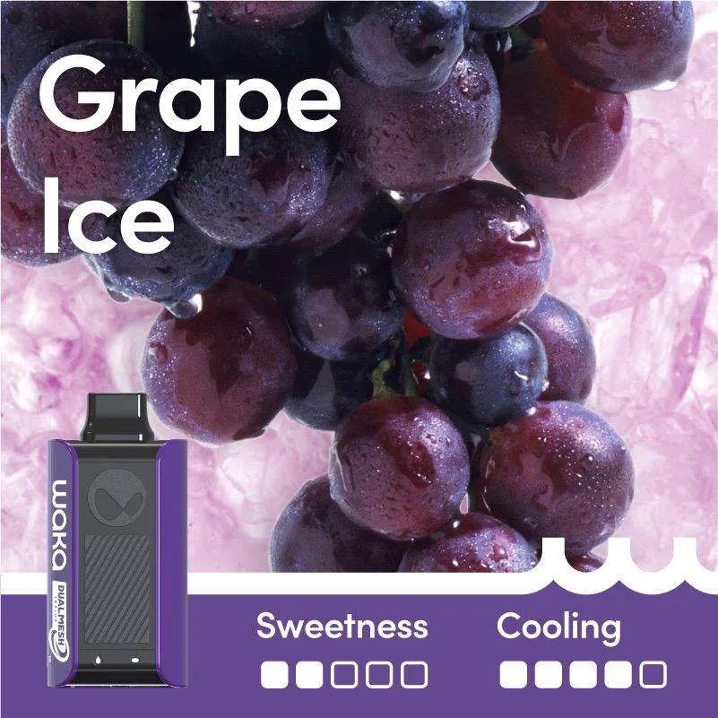Grape Ice – Sopro 10,000 | Waka Sopro 10000 Grape Ice Dual Modes Grape Ice – SOPRO 10,000